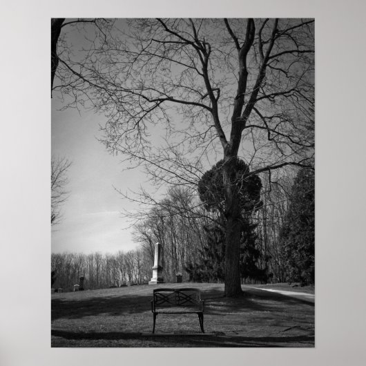 Poster Siège vide (Devant)