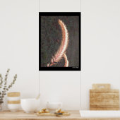 Poster - siergras zaadkop (Keuken)