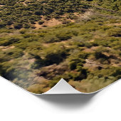 Poster Sierra (Coin)