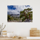 Poster Sierra Juniper et arbres À feuillage persistant (Cuisine)