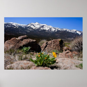 Poster Sierra Mountain View