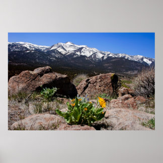 Poster Sierra Mountain View