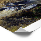 Poster Sierra Mountains, Californie (Coin)