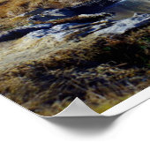 Poster Sierra Nevada, Californie, États-Unis (Coin)