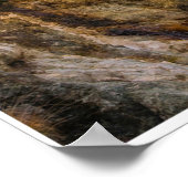 Poster Sierra Nevada Mountain Road – Eastern Sierra Print (Coin)