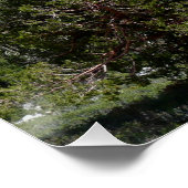 Poster Sierra Nevada Mountains II de Yosemite (Coin)