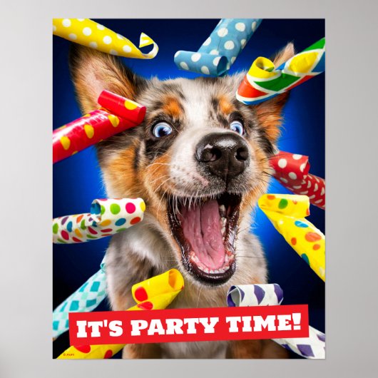 Poster Sifflets pour fête de chien heureux (Devant)