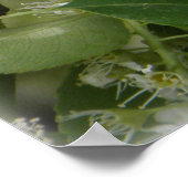 Poster SIGH_ets_loa_P5140161g (Coin)