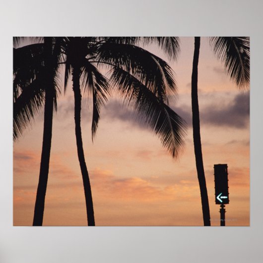 Poster Signal et palmier (Devant)