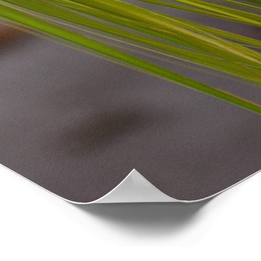 Poster Signal marié (Coin)