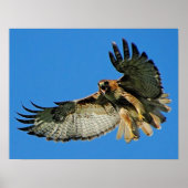 Poster Signaler l'impression encadrée d'alerte (Devant)