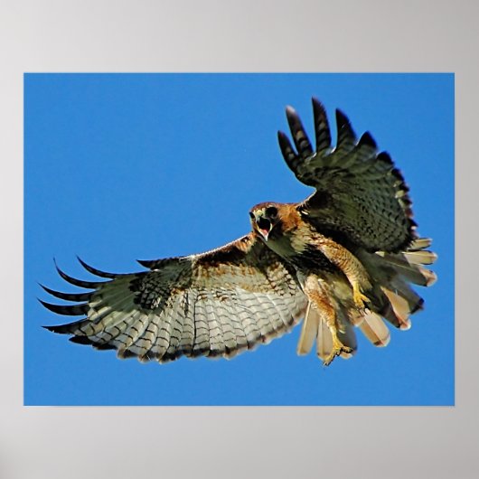 Poster Signaler l'impression encadrée d'alerte (Devant)