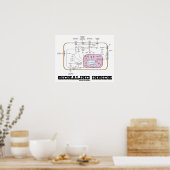 Poster Signalisation à l'intérieur (voies de transduction (Cuisine)