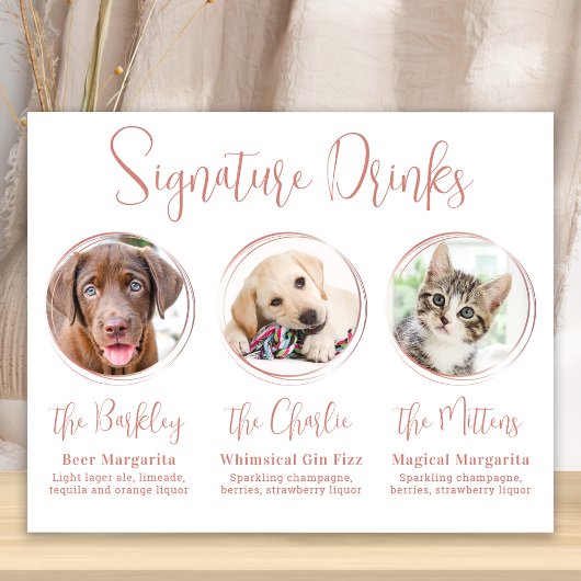 Poster Signature Boissons Rose Gold 3 Photo Pet Mariage
