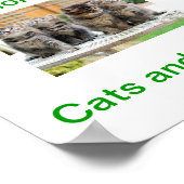 Poster Signature d'aujourd'hui pour l'adoption de chats e (Coin)