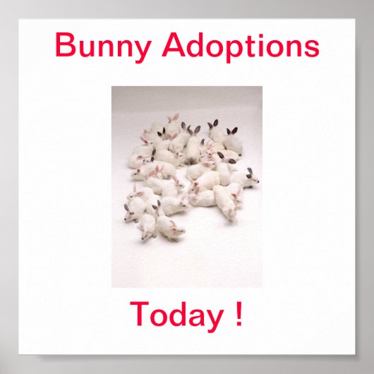 Poster Signature de l'adoption du lapin aujourd'hui (Devant)