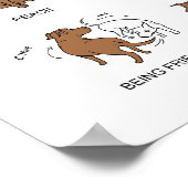 Poster Signaux TANO (Coin)