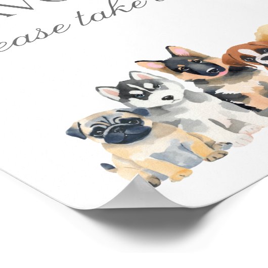 Poster Signe Baby shower Chien Chien Chien Chien Chien Co (Coin)