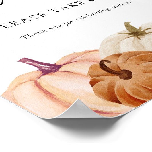 Poster SIGNE citrouille Faveurs (Coin)