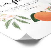 Poster Signe Citrus Diapés (Coin)