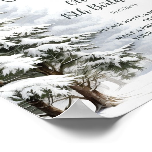 Poster Signe de la Capsule d'hiver (Coin)