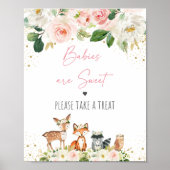 Poster SIGNE DE TRAITEMENT DU Baby shower Floral Blush Wo (Devant)