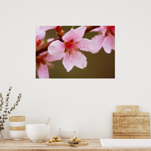 Poster signe d'impression du ressort (Cuisine)