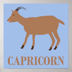 Poster Signe du Capricorne Chèvre