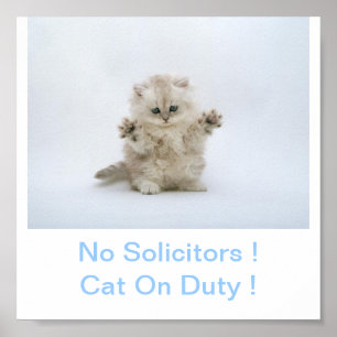 Poster Signe Kitty Cat Pas d'avocat