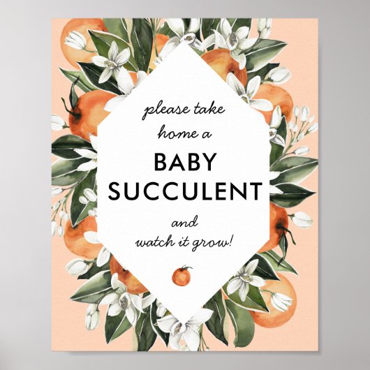Poster Signe Little Cutie Baby shower Succulent Faveurs (Devant)