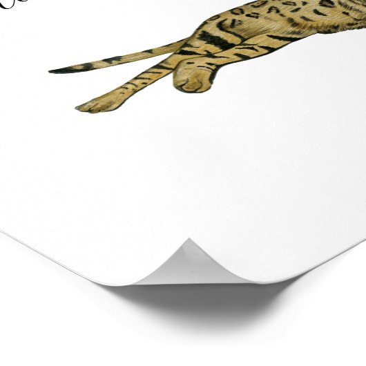 Poster SIGNE Mariage de chat (Coin)