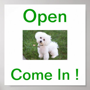 Poster Signe ouvert de chien de Bichon Frise