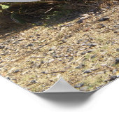 POSTER SIGNE ROUTIER LIPARI (Coin)