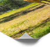 Poster Signé Taronga Western Plains Zoo Dubbo - Giraffes (Coin)