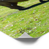 Poster Signé Taronga Western Plains Zoo Dubbo - Rhino (Coin)