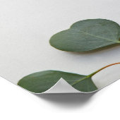 Poster Signe vertical feuille d'Eucalyptus (Coin)