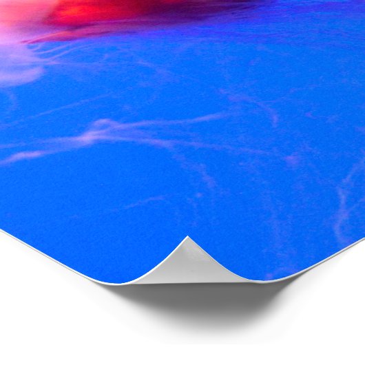 Poster Signed Red Jellyfish (Coin)