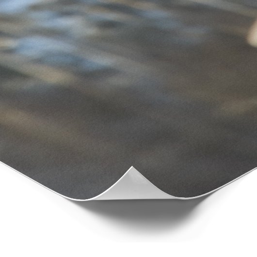 Poster signer (Coin)