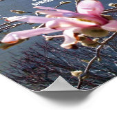 Poster SIGNES DE L'affiche du PRINTEMPS (Coin)