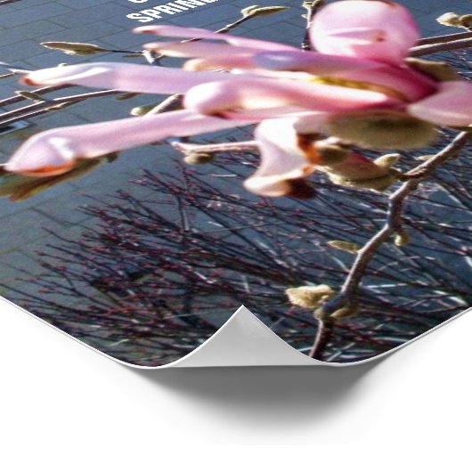 Poster SIGNES DE L'affiche du PRINTEMPS (Coin)