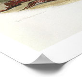 Poster Sih-Chida et Mahchsi-Karehde, Indiens mandans, pla (Coin)