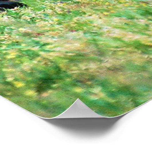 Poster Sika Deer (Coin)