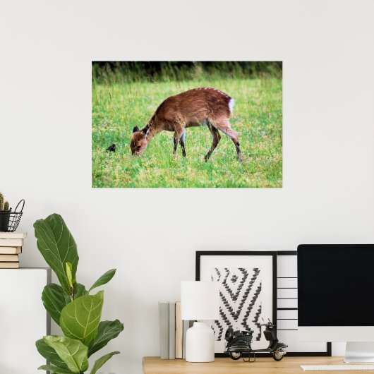 Poster Sika Deer (Bureau à domicile)