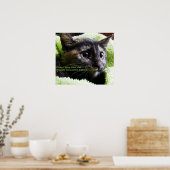 Poster S'Il Vous Plaît Écrire Votre Chat (Cuisine)