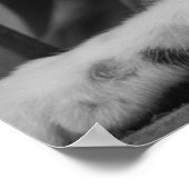 Poster S'il vous plaît Kitty (Coin)
