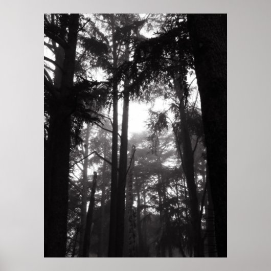 Poster - Silence Argent (Devant)