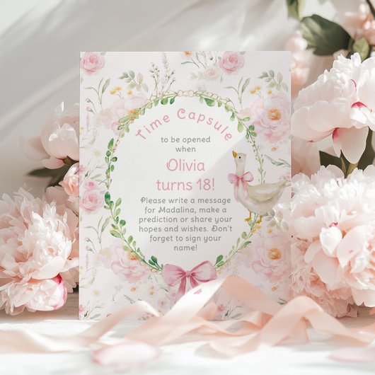 Poster Silencieux Goose Time Capsule 1er Anniversaire ros