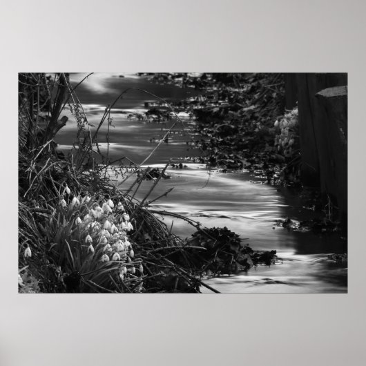 Poster Silent creek (Devant)