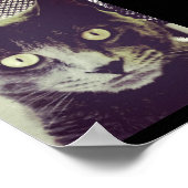 Poster Silent Kitty (Coin)