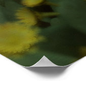 Poster Silent Siesta (Coin)